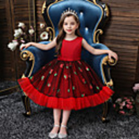 Princess Flapper Dress Dress Party Costume Girls