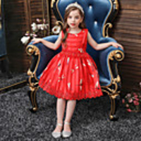 Princess Flapper Dress Dress Party Costume Girls