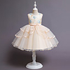 Princess Flapper Dress Dress Party Costume Girls