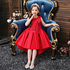 Princess Flapper Dress Dress Party Costume Girls