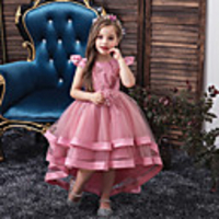 Princess Flapper Dress Dress Party Costume Girls