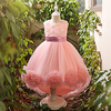 Princess Flapper Dress Dress Party Costume Girls