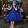 Princess Flapper Dress Dress Party Costume Girls