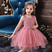 Princess Flapper Dress Dress Party Costume Girls