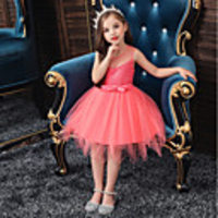 Princess Flapper Dress Dress Party Costume Girls