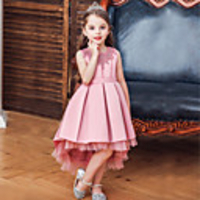 Princess Flapper Dress Dress Party Costume Girls