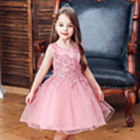 Princess Flapper Dress Dress Party Costume Girls