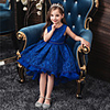 Princess Flapper Dress Dress Party Costume Girls