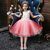 Princess Flapper Dress Dress Party Costume Girls