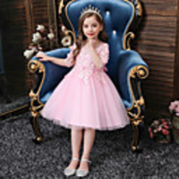 Princess Flapper Dress Dress Party Costume Girls