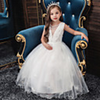 Princess Flapper Dress Dress Party Costume Girls