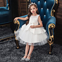 Princess Flapper Dress Dress Party Costume Girls