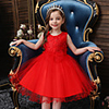 Princess Flapper Dress Dress Party Costume Girls