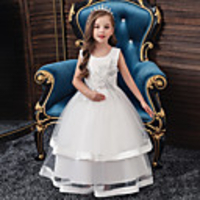Princess Flapper Dress Dress Party Costume Girls