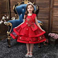 Princess Flapper Dress Dress Party Costume Girls