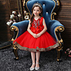 Princess Flapper Dress Dress Party Costume Girls