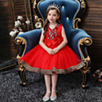 Princess Flapper Dress Dress Party Costume Girls