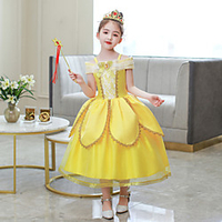 Princess Flapper Dress Dress Party Costume Girls