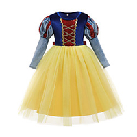 Princess Flapper Dress Dress Party Costume Girls