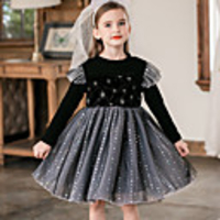 Princess Flapper Dress Masquerade Girls