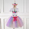 Princess Unicorn Dress Girls