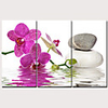 Print Stretched Canvas Prints - Floral / Botanical Traditional Modern Three Panels Art Prints