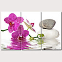 Print Stretched Canvas Prints - Floral / Botanical Traditional Modern Three Panels Art Prints