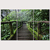 Print Stretched Canvas Prints - Landscape Traditional Modern Three Panels Art Prints