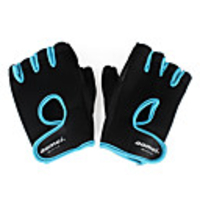 Professional Glove Support (2pcs)