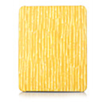 Protective Hard Plastic Case for Apple iPad