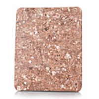 Protective Hard Plastic Case for Apple iPad