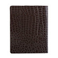 Protective Snakeskin Pattern Case With Stand for iPad Brown