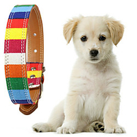 Puppy Designer Colorful Leather Dog Set Collar