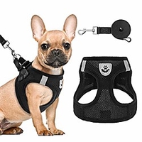 puppy harness and leash set - soft mesh dog vest harness,  reflective amp; adjustable harness for small to medium dogs,  cats and puppies miniinthebox