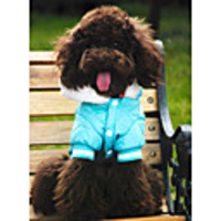 Pure Blue Hooded Jacket for Dogs (XS – L,  Blue)