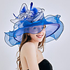 Queen Elizabeth Audrey Hepburn Dresses Retro Vintage Dress A-Line Dress Kentucky Derby Hat Fascinator Hat Women