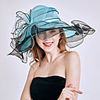 Queen Elizabeth Audrey Hepburn Dresses Retro Vintage Dress A-Line Dress Kentucky Derby Hat Fascinator Hat Women