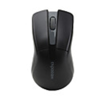 Rapoo 1010 USB Wireless Optical Mouse (Black)