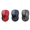Rapoo 3000P USB Wireless Optical Mouse (Assorted Colors)