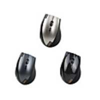 Rapoo 3900 USB Wireless Optical (Assorted Colors)