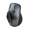 Rapoo 7600 USB Wireless Optical Mouse (Black)