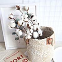 Real Cotton Branch Home Decoration Wedding Plant INS Air-Dry Flower Wedding Wall
