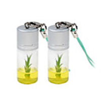 Real Growable Lucky Bamboo Plant In-a-Bottle Keychain (2-Pack)