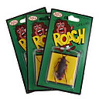 Realistic Rubber Cockroaches