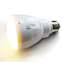 Rechargeable 36-LED Light Bulb and Flashlight (E26 and E27,  4W,  100-240V)