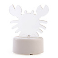 Rechargeable Color Changing Led Light - For Christmas Festival