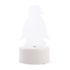 Rechargeable Color Changing Led Light - For Christmas Festival