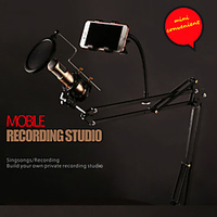 Remax CK100 Wireless Microphone Portable For PC,  Notebooks and Laptops miniinthebox