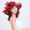 Retro Organza Headwear with Lace-up 1 PC Party / Evening / Horse Race Headpiece miniinthebox