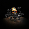 Ring AAA Cubic Zirconia Retro Black Brass Animal Artistic Unique Design Vintage 1pc 6 7 8 9 10 / Women